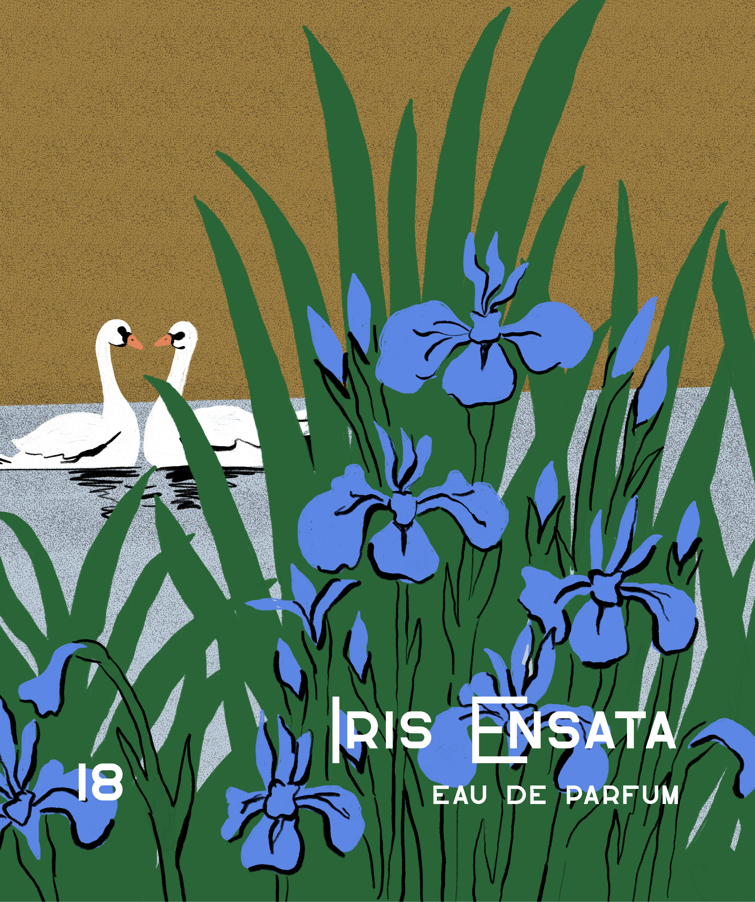 No. 18 Iris Ensata