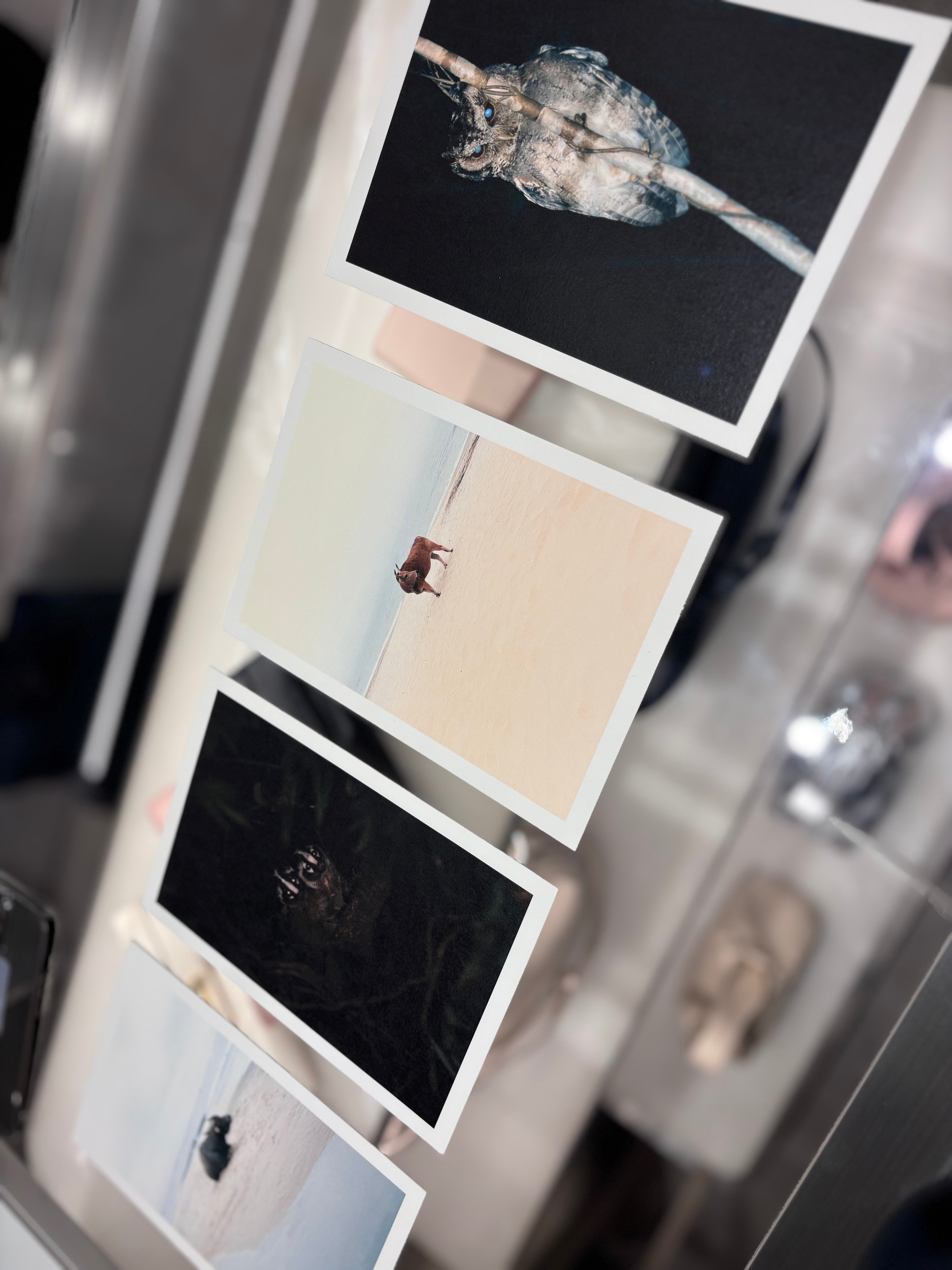 Spring 2025 Collaboration with Charles & Keith and Artist Robert Zhao
