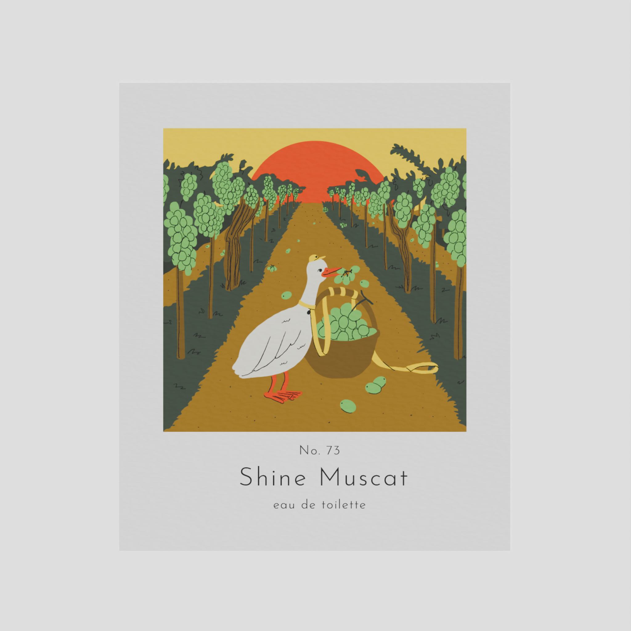 No. 73 Shine Muscat
