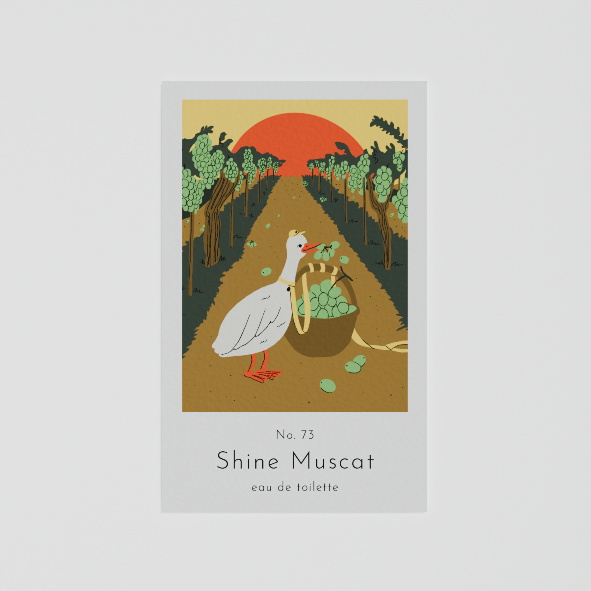 No. 73 Shine Muscat