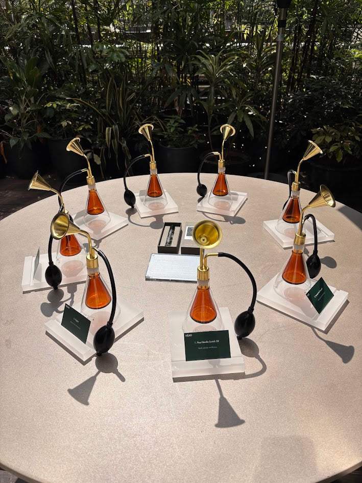 Spring 2025 Collaboration with Charles & Keith and Artist Robert Zhao