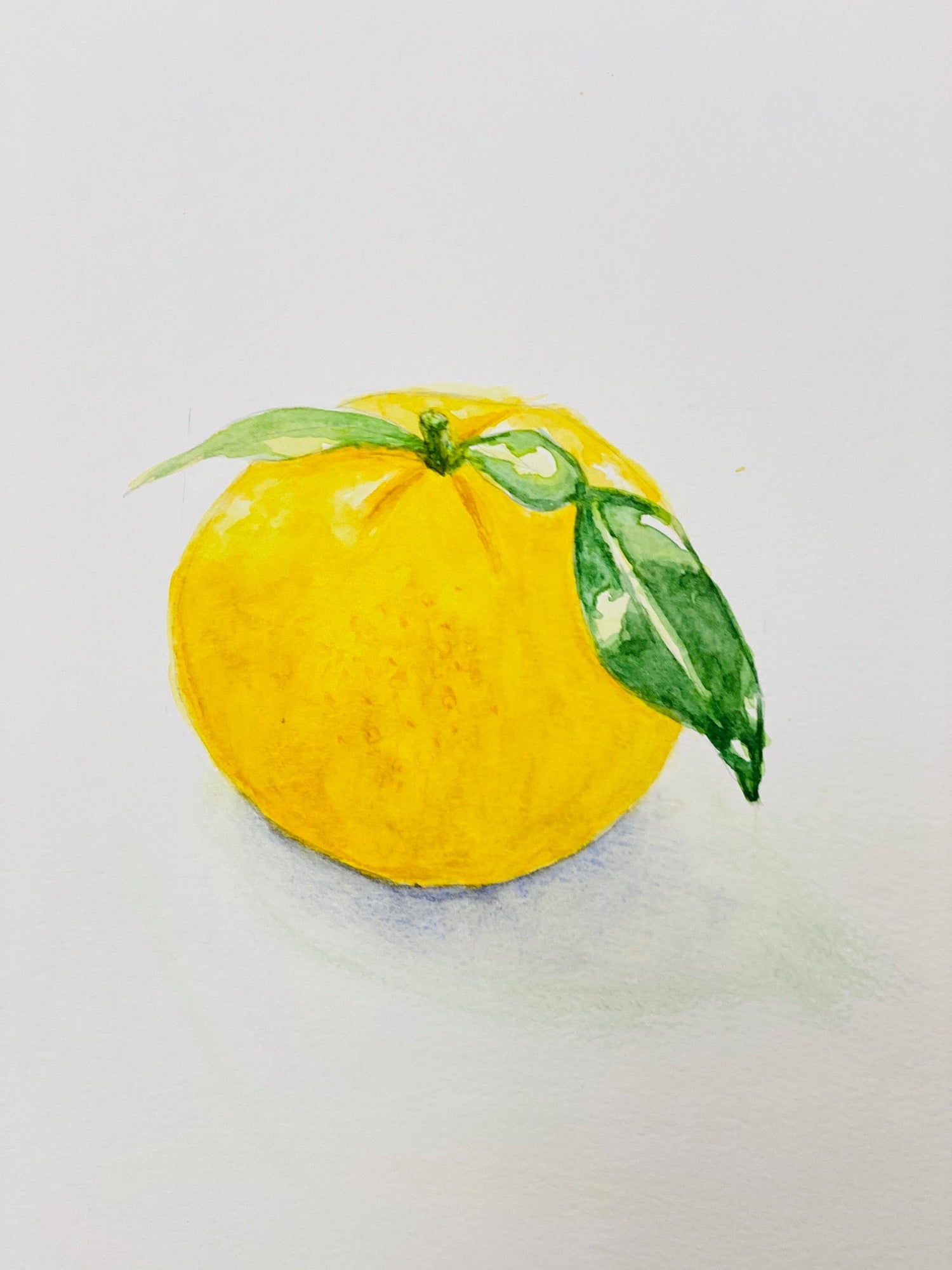 花一些時間，做了一枚長久柚子 - Dry Yuzu 乾薰柚子