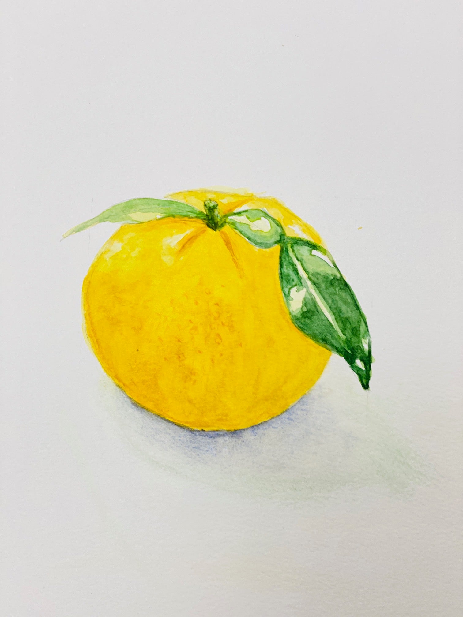 花一些時間，做了一枚長久柚子 - Dry Yuzu 乾薰柚子