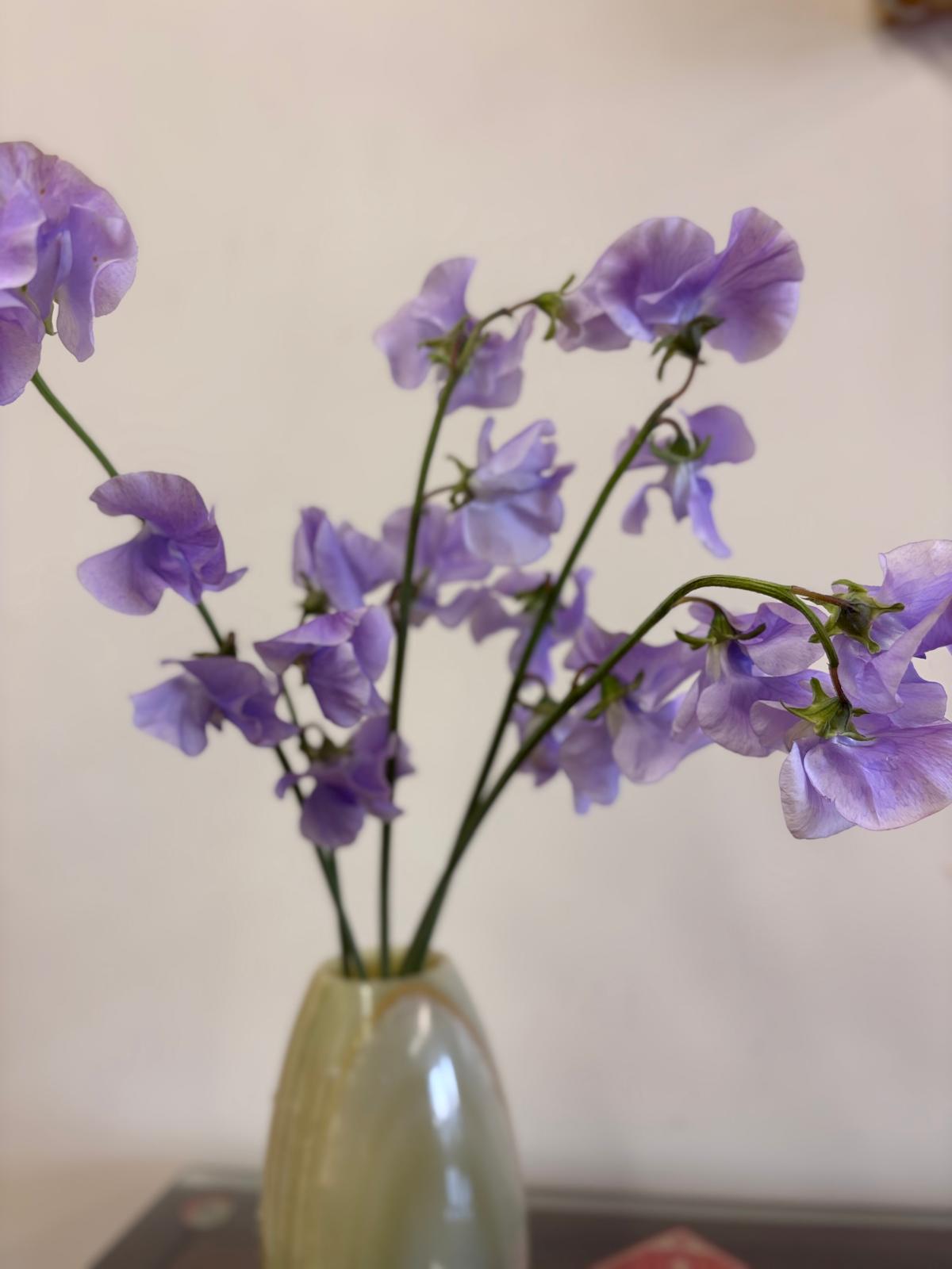 No. 83 Sweet Koji - Unlikely accords - Sweet Pea + Sake