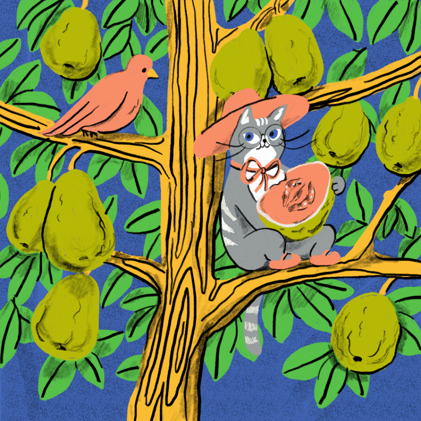 No. 97 The Guava Tree